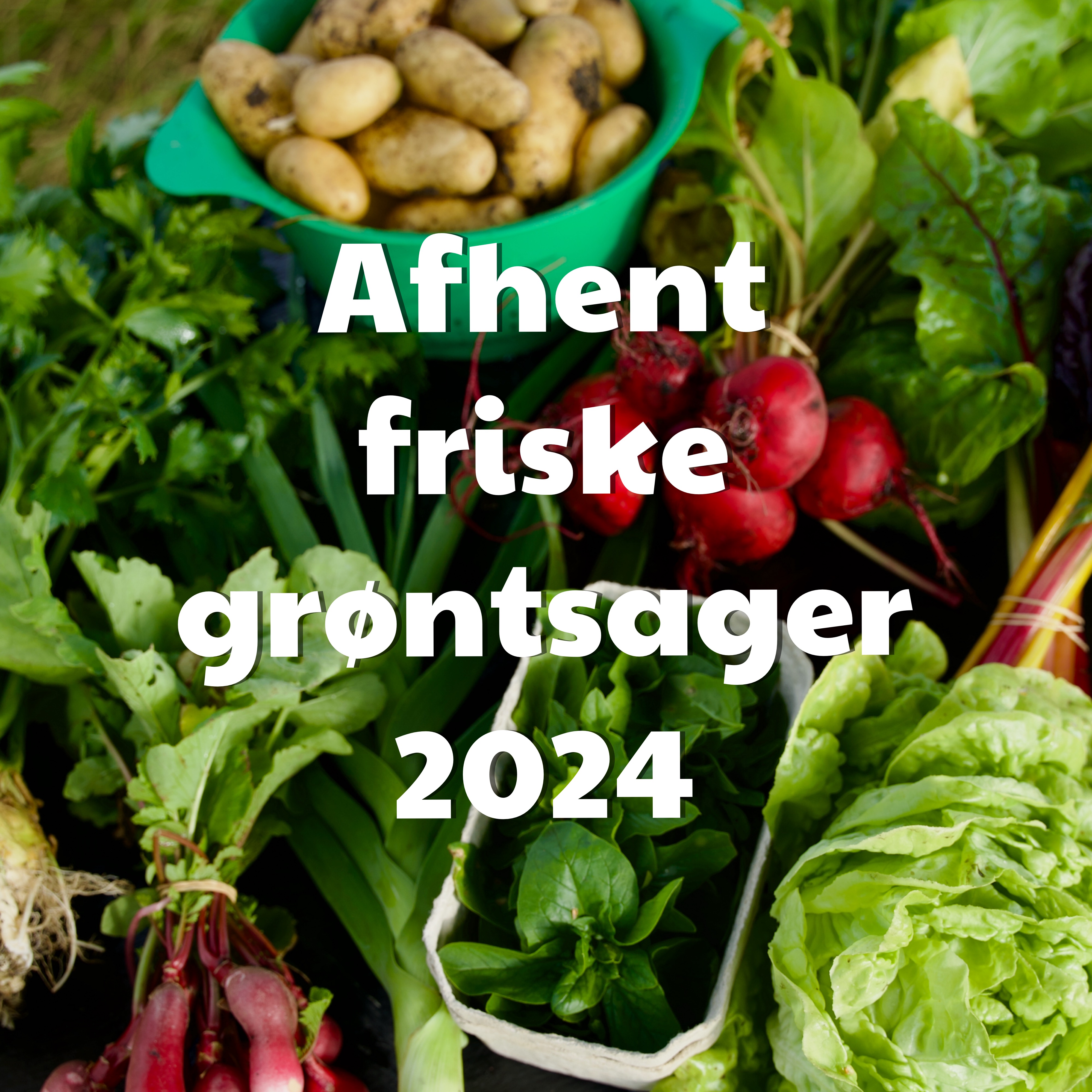 Afhent friske grøntsager 2024